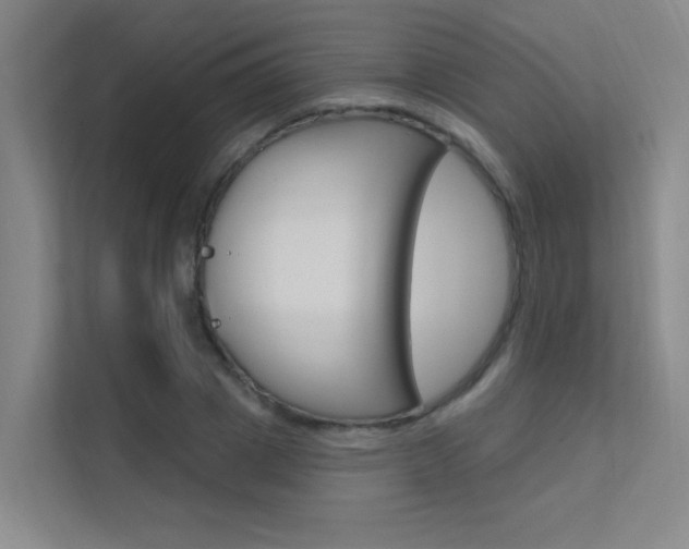 X0000112380833200908131322