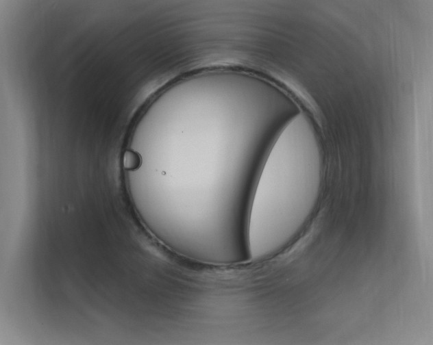 X0000112380834200908131322