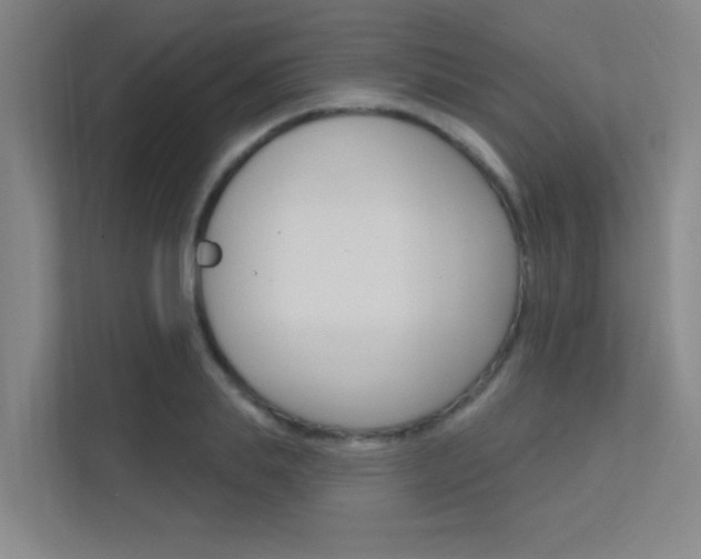 X0000112380839200908131322