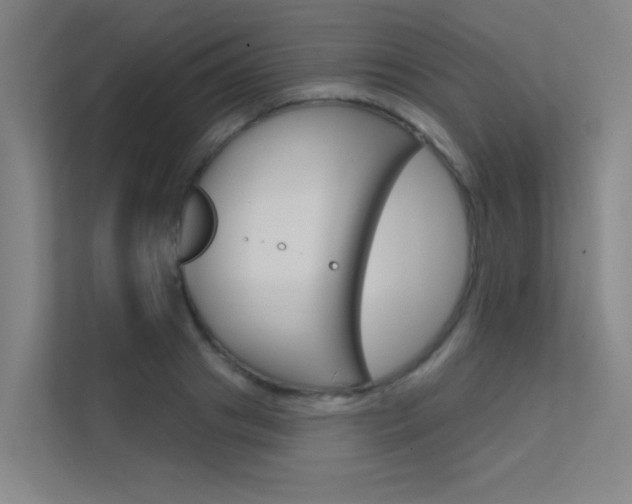 X0000112380841200908131322