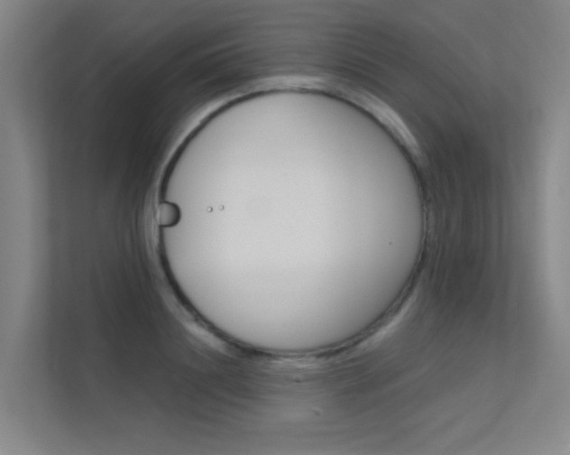X0000112380844200908131322