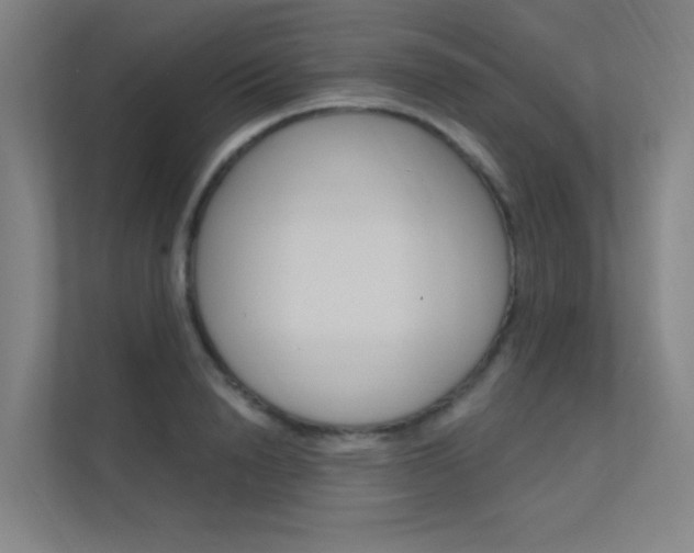 X0000112380846200908131322