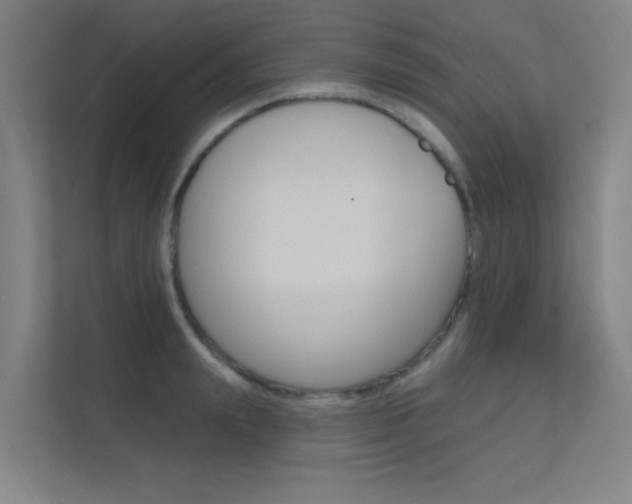 X0000112380847200908131322
