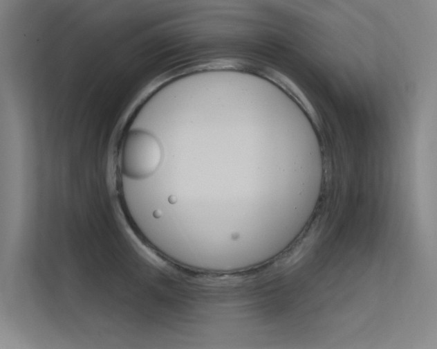 X0000112380851200908131322
