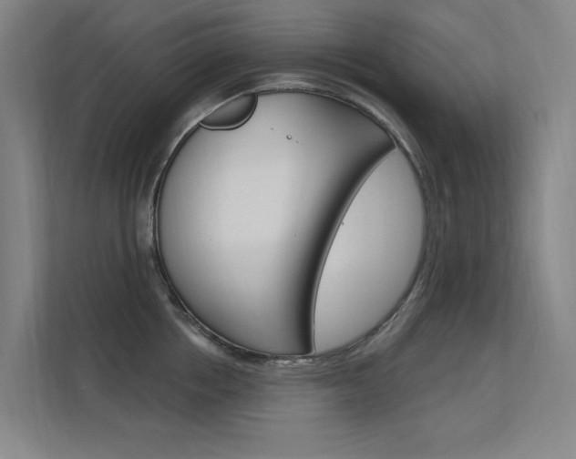 X0000112380858200908131322