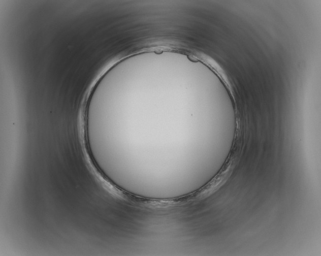 X0000112380859200908131322