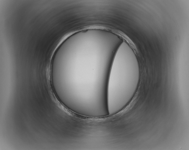 X0000112380860200908131322