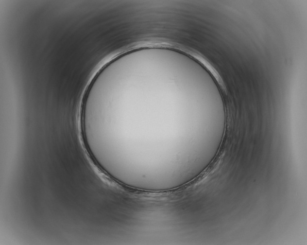 X0000112380861200908131322