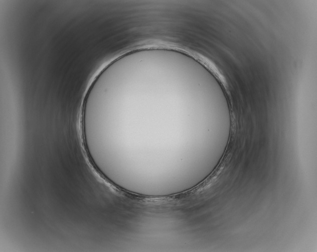 X0000112380863200908131322