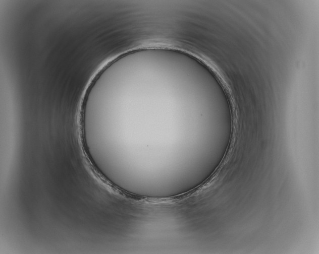 X0000112380864200908131322