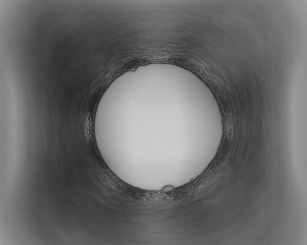 X0000112380866200908131322