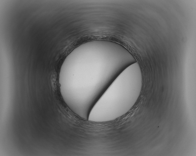 X0000112380867200908131322
