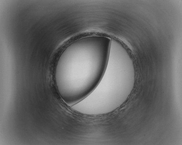X0000112380872200908131322