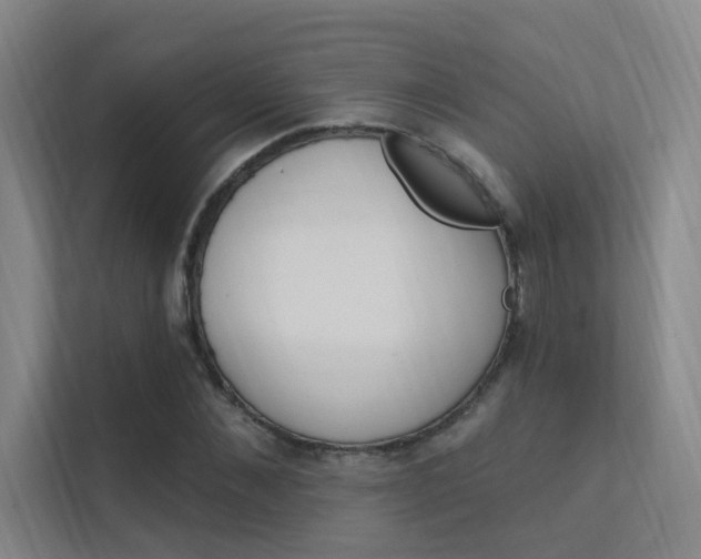 X0000112380876200908131322