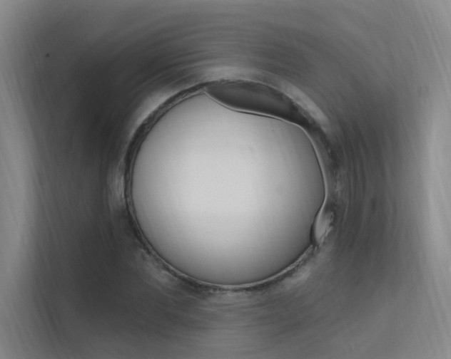 X0000112380877200908131321