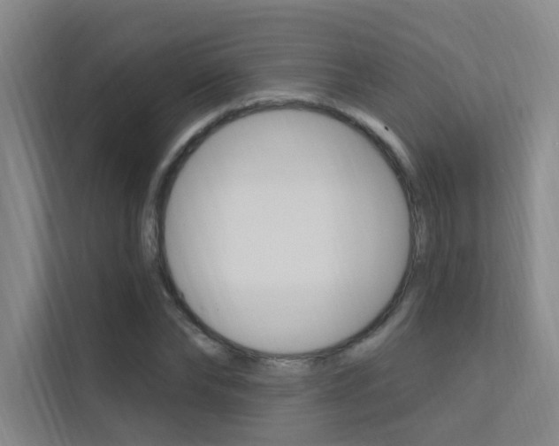 X0000112380878200908131321