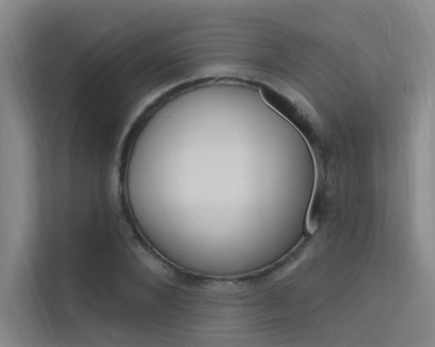 X0000112380880200908131321