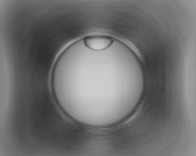X0000112380885200908131321
