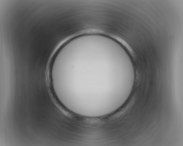 X0000112380886200908131321