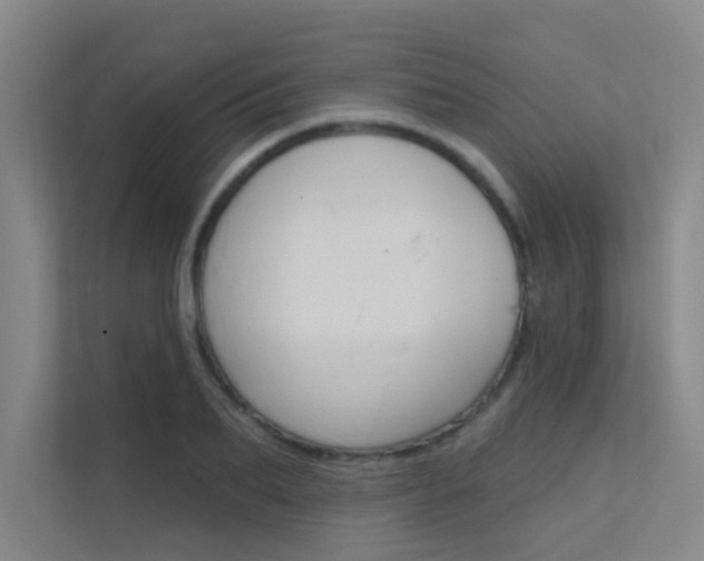 X0000112380887200908131321