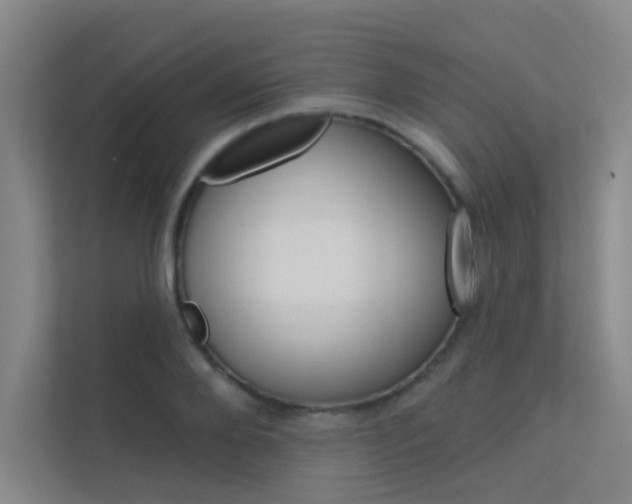 X0000112380888200908131321