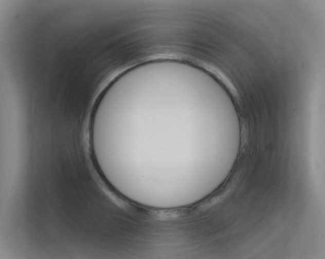 X0000112380890200908131321
