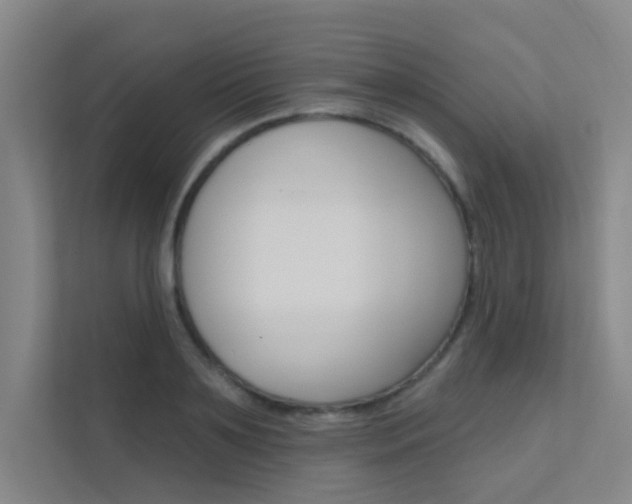 X0000112380891200908131321