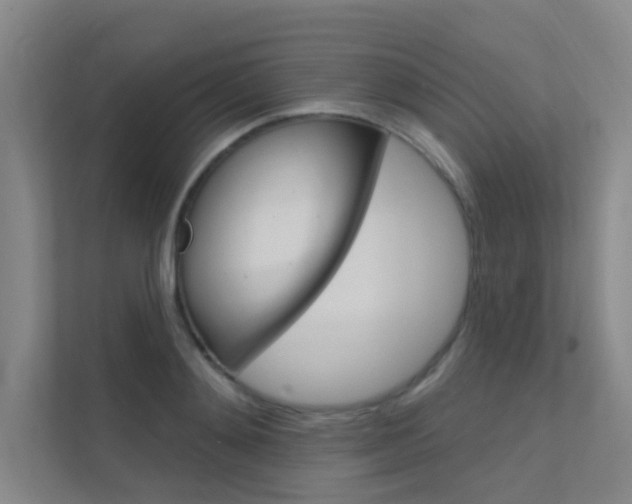 X0000112380892200908131321