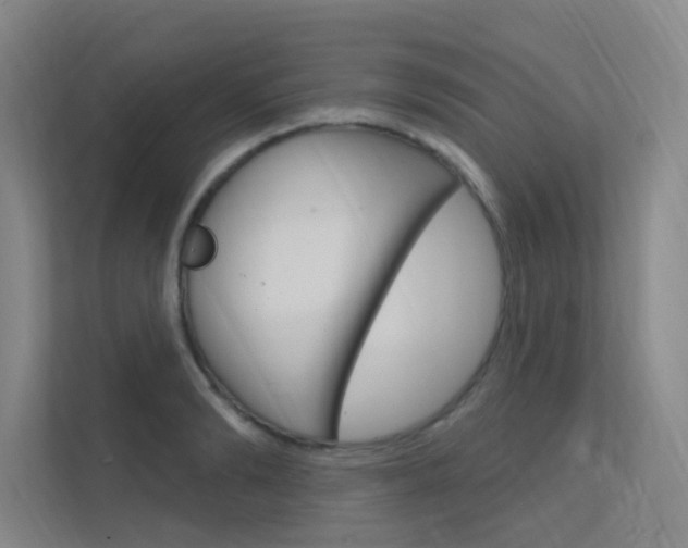 X0000112380894200908131321