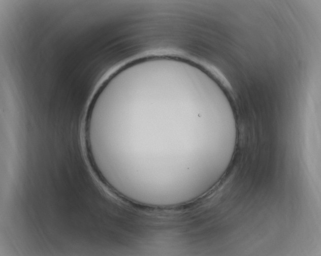 X0000112380895200908131321