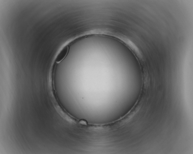X0000112380896200908131321