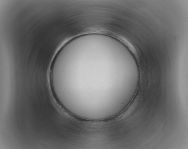X0000112380899200908131321