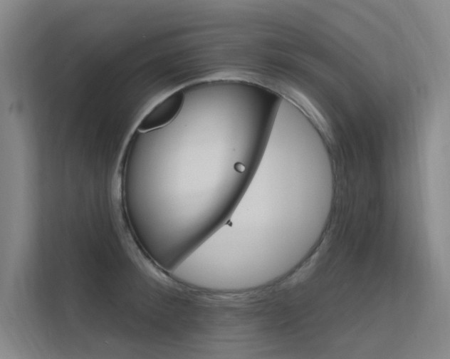 X0000112380900200908131321