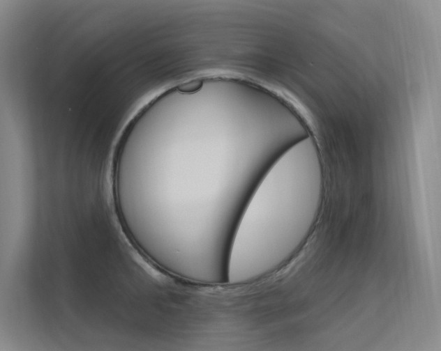 X0000112380902200908131321