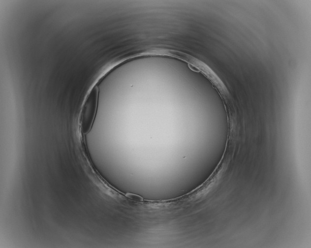 X0000112380908200908131321