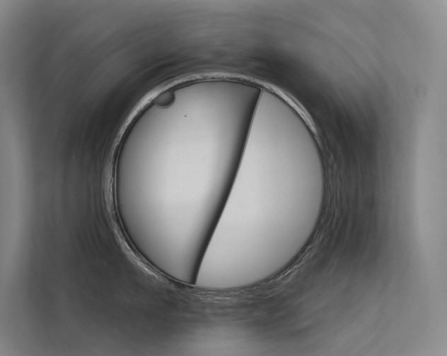 X0000112380911200908131321