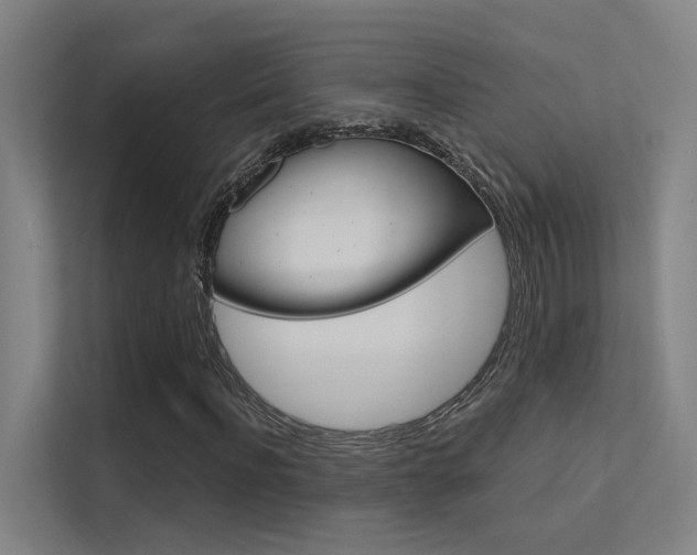 X0000112380916200908131320