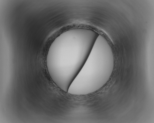 X0000112380919200908131320