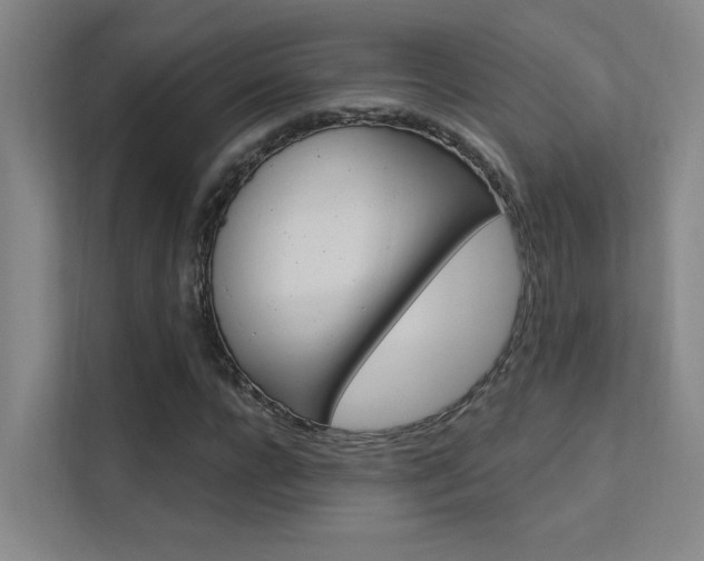 X0000112380920200908131321