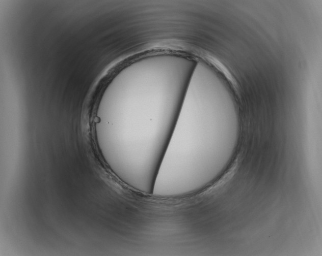X0000112380923200908131321