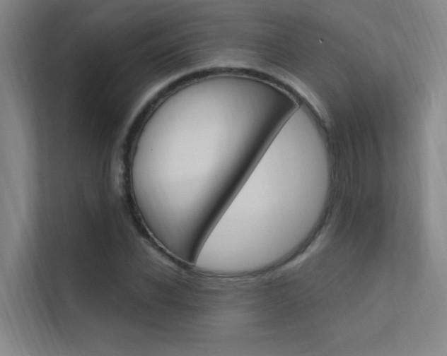 X0000112380926200908131321