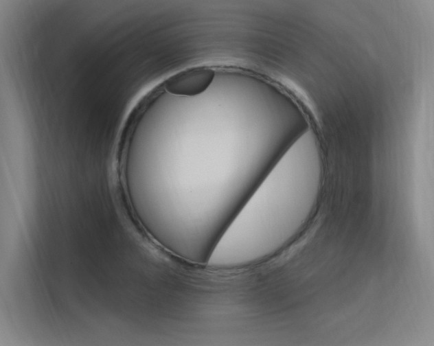 X0000112380928200908131321