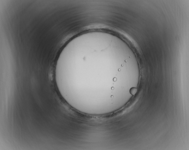 X0000112380929200908131321