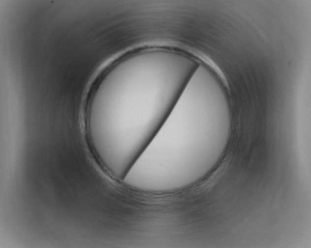 X0000112380935200908131321