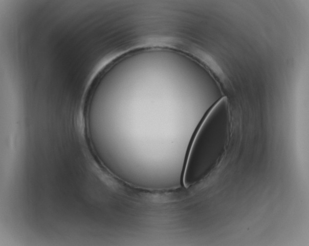 X0000112380936200908131321