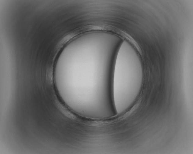X0000112380938200908131321