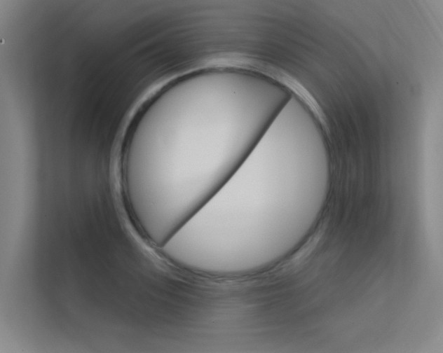 X0000112380939200908131321
