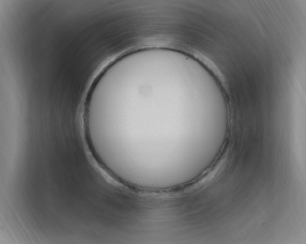 X0000112380941200908131321