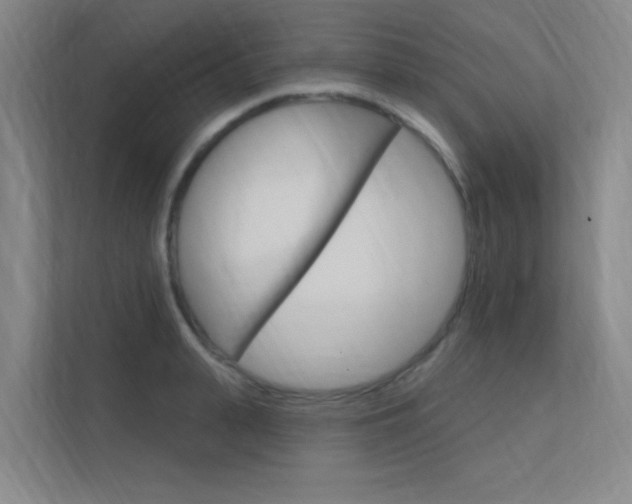 X0000112380943200908131321
