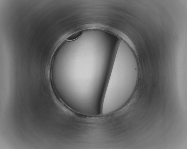 X0000112380946200908131321